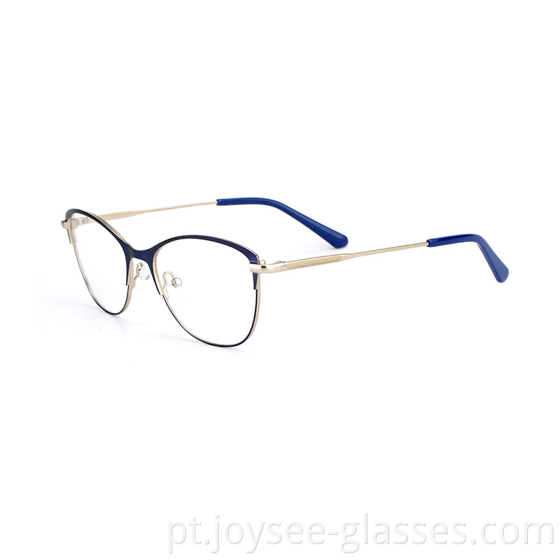 Two Tones Metal Eyeglasses 6